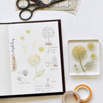 MU Botanical Clear Stamp Set - No. 07