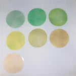 Japanese Colour Swatch Tracing Paper Stickers