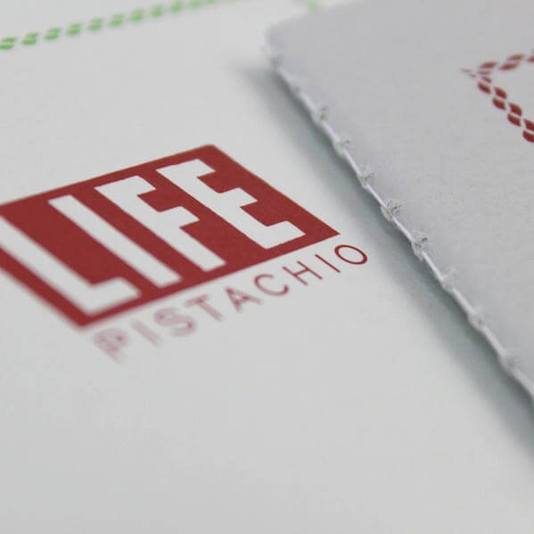 LIFE Pistachio Notebooks / Ruled