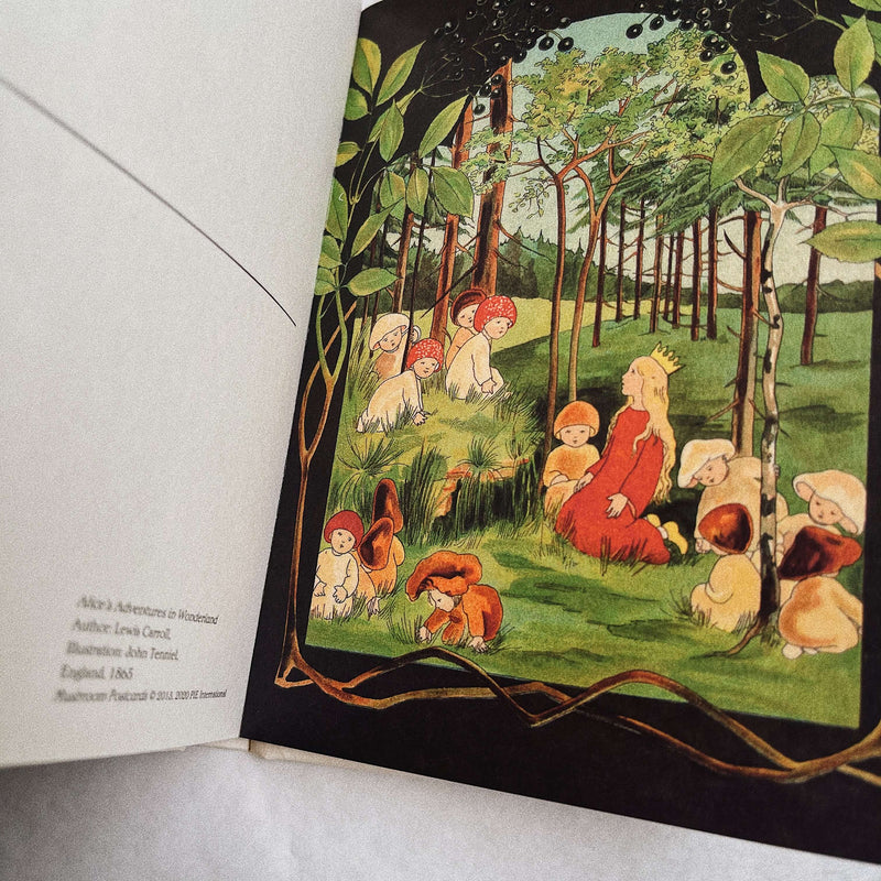 Mushroom Postcards