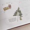 Print-on Sticker: Merry Christmas & Happy New Yearl