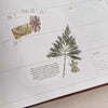Pressed Flower Print-on Sticker: Red Cedar