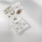 Paperweight I - II